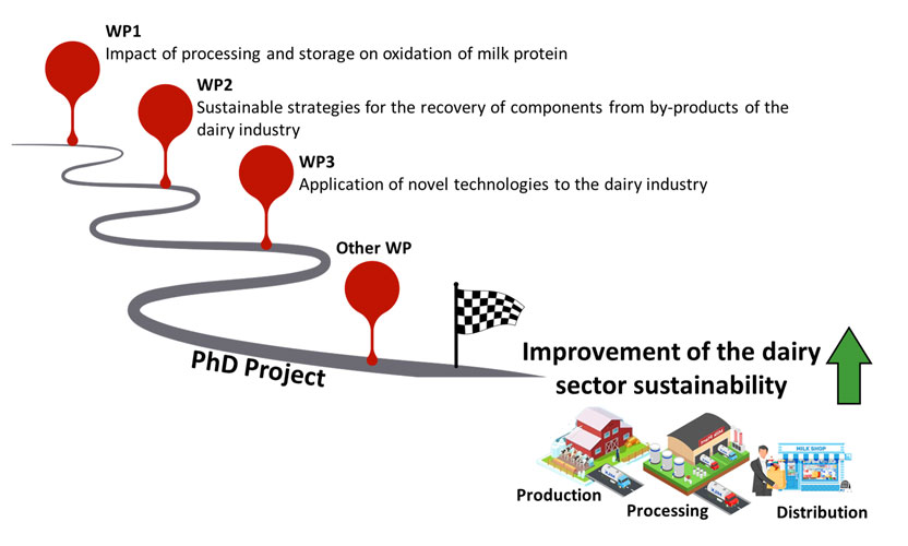 Work packages of PhD project