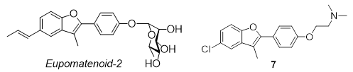 Eupomatenoid-2 