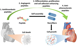 nanofibers for cardiovascular tissue regeneration