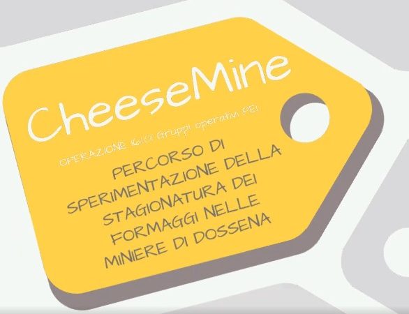 Il progetto CheeseMine