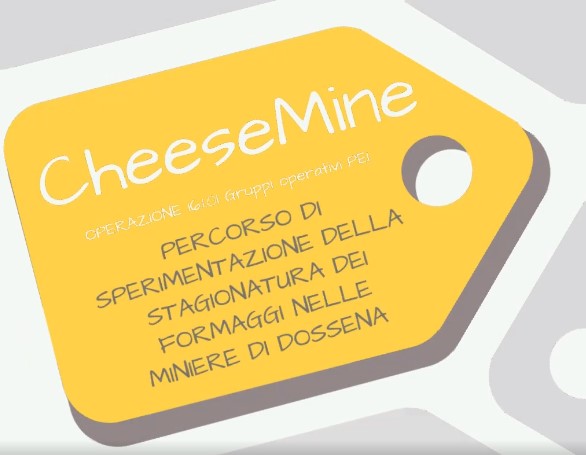 Il progetto CheeseMine