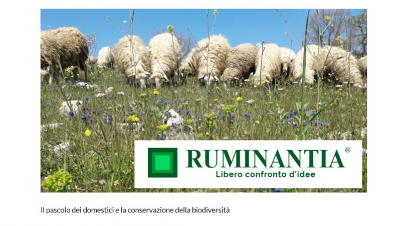 ARTICOLO DI RUMINANTIA: Il pascolo dei domestici e la conservazione della biodiversità