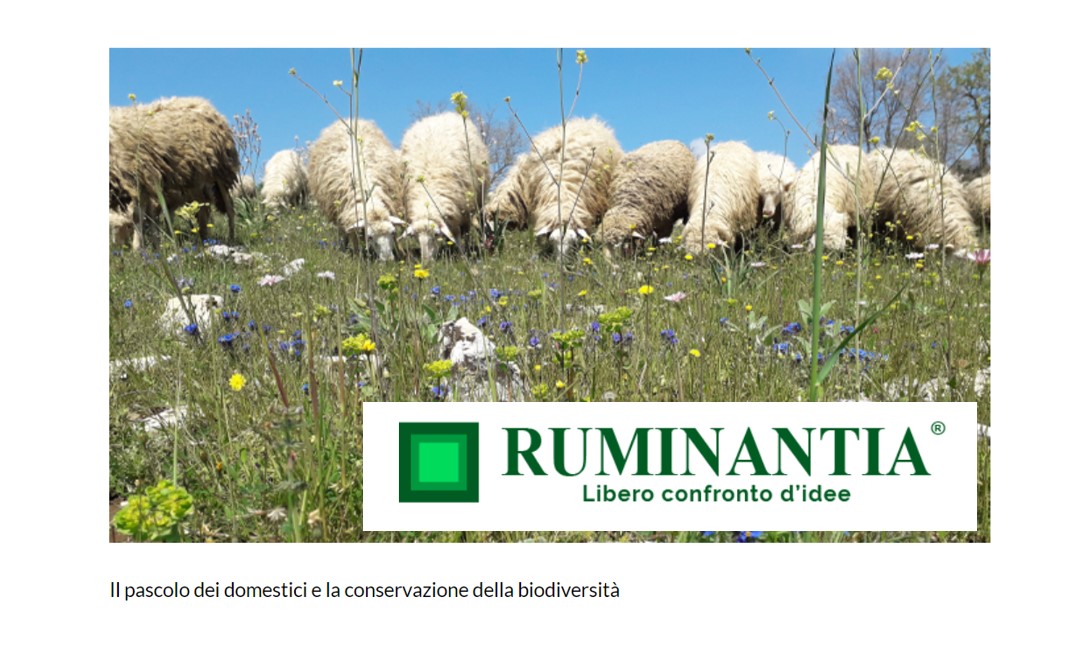 ARTICOLO DI RUMINANTIA: Il pascolo dei domestici e la conservazione della biodiversità