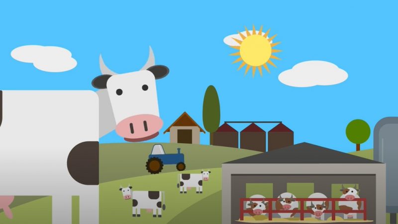 Progetto CLEVERMILK: uso intelligente della tecnologia per un latte a basso impatto ambientale