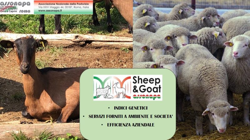 Questionario Progetto SHEEP and GOAT