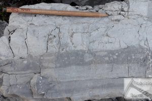 Intraformational breccias in dolostone, Triassic