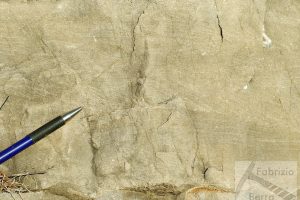 Harringbone cross lamination in ooidal grainstone Sardinia Jurassic