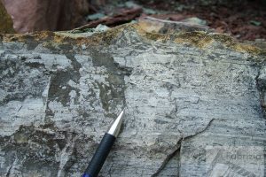 Loferitic breccias in stromatolitic limestone, Triassic