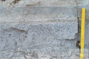 Stromatolitic limestone and bioclastic packstone, Triassic