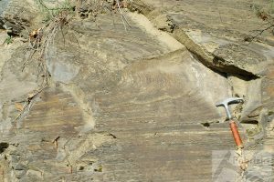 Slump fold in claystone, Triassic