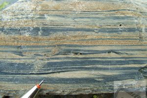 Heteolithic facies, ripple marks, Permian