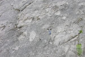 Slope carbonate breccia, Triassic