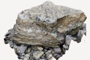 limestone marl bioturbated