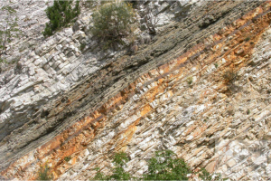 Black shale, Bonarelli Level, Gubbio