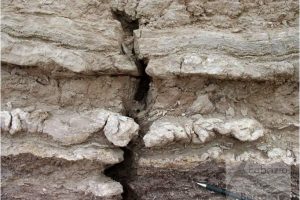 Enterolithic folds in sabkha gypsum beds, Miocene, Iran
