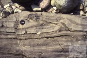 Slump folds Triassic