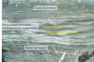 Climbing current ripple marks