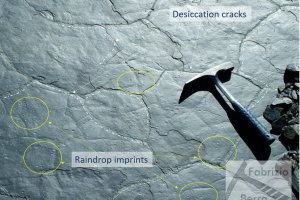 Mud cracks Desiccation cracks