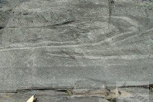 slump fold basinal limestone