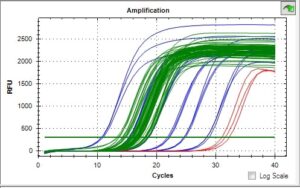 qPCR amplification plot