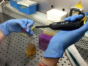 Pipetting