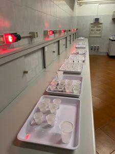Sensorial test laboratory