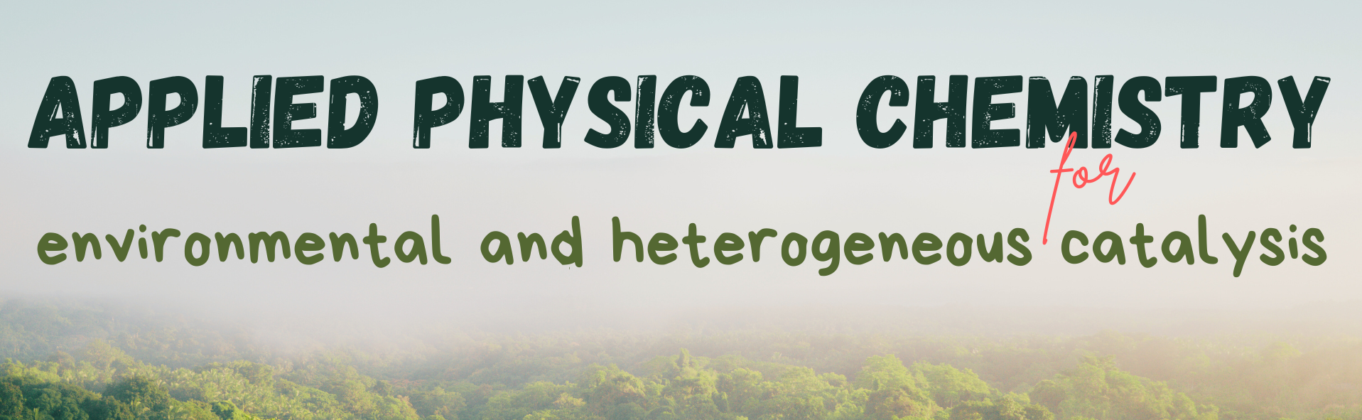 Applied Physical Chemistry for Environmental and Heterogeneous Catalysis