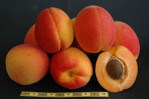 Pieve fruits
