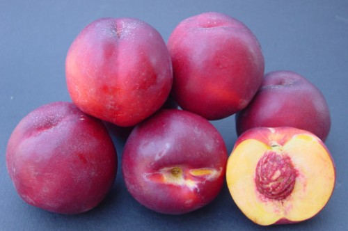 Rebus 038 fruits