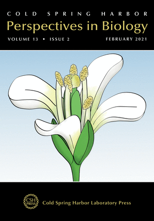 Cover Cucinotta et al., CSH Perspectives in Biology, Vol. 13, Issue 2, Feb 2021