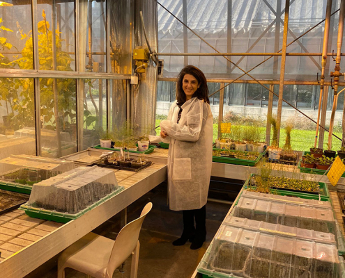 Plant Development - University of Milan - Bioscience Department