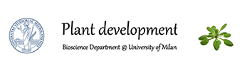 Plant Development - University of Milan