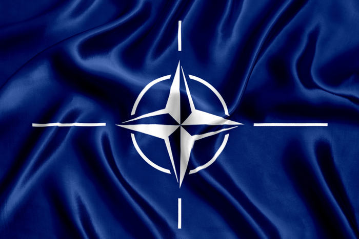 La NATO, serve ancora (finale)