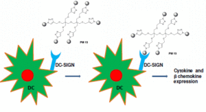 Pseudo -Mannosylated DC-SIGN Ligands as Potential Adjuvants for HIV Vaccines