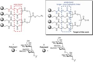 Activation of Hsp90 Enzymatic Activity and Conformational Dynamics through Rationally Designed Allosteric Ligands
