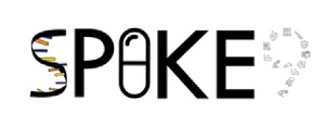 Logo Spoke 9